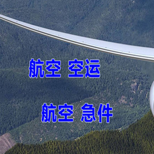 阆中古城空运代理快递-选东方航空和上海航空